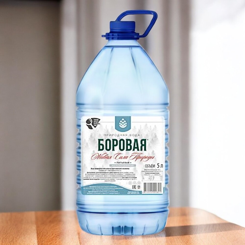 Вода природная питьевая БОРОВАЯ (Borovaya) Негаз. 5л  ПЭТ