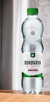Вода минеральная БОРОВАЯ (Borovaya) ЛС сульф.кальц. Газ. 0.5л ПЭТ