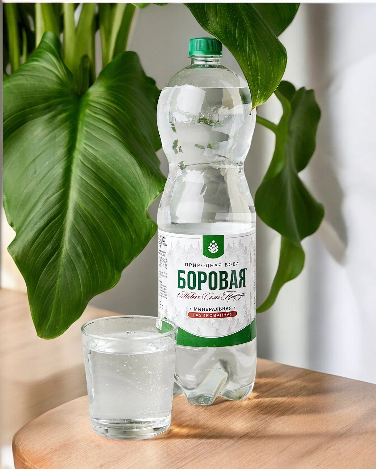 Вода минеральная БОРОВАЯ (Borovaya) ЛС сульф.кальц. Газ. 1л  ПЭТ