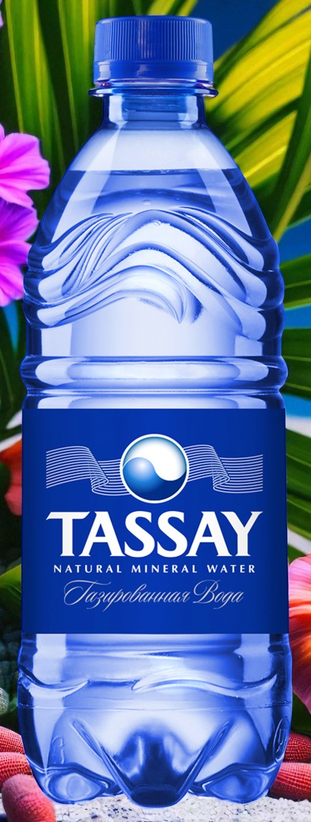 Вода “TASSAY” газ пэт 0,5л
