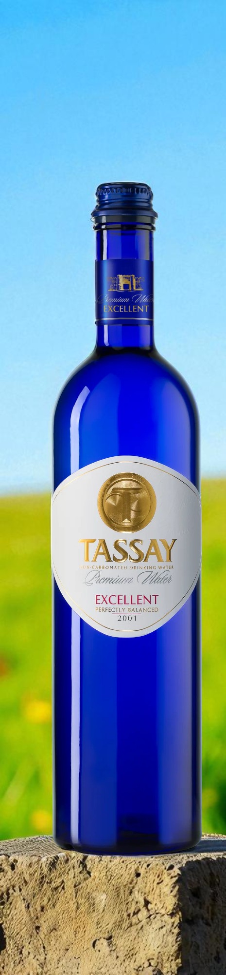 Вода “TASSAY EXCELLENT” б/г ст. 0,75л