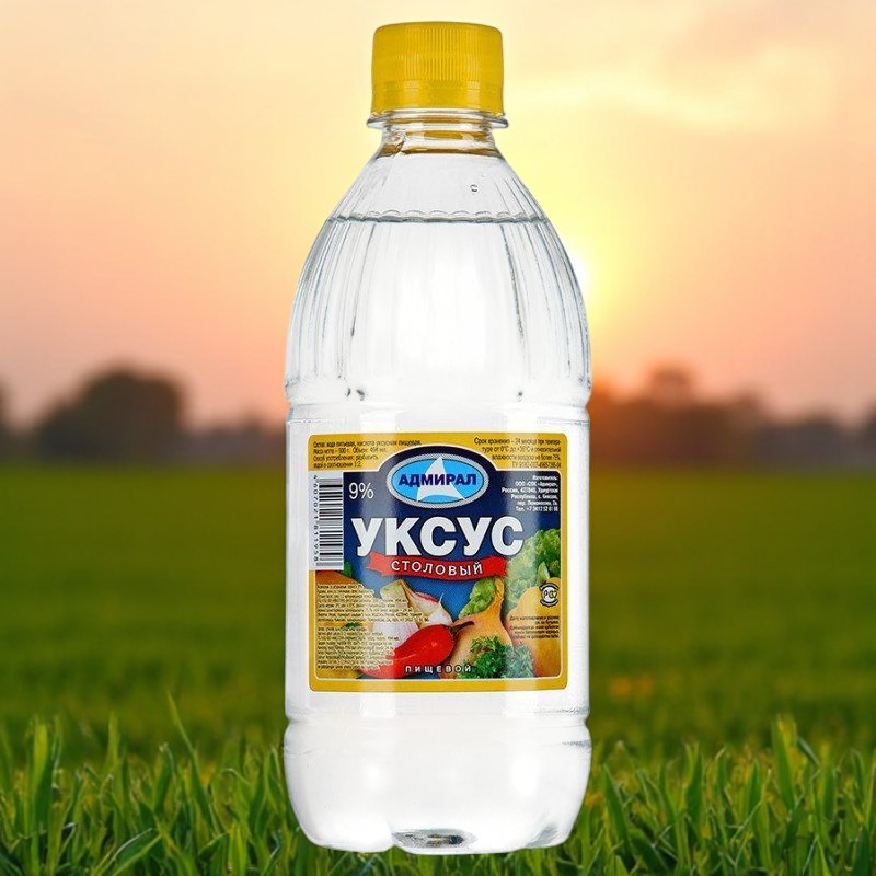 Уксус стол. 9% 1,0л пэт