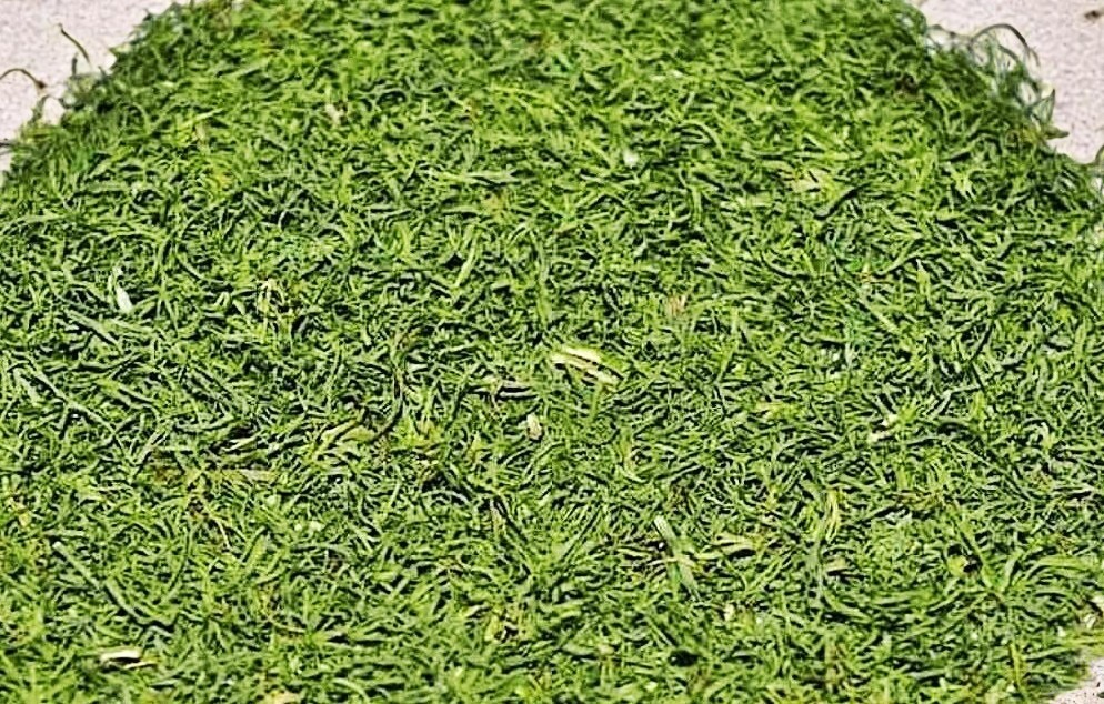 Naturell Укроп 7г0