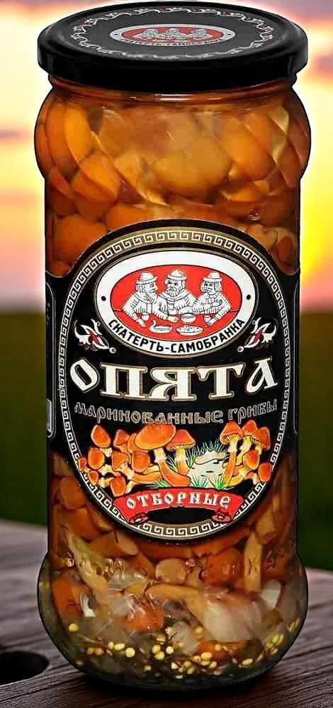 Опята марин. 580мл ст.